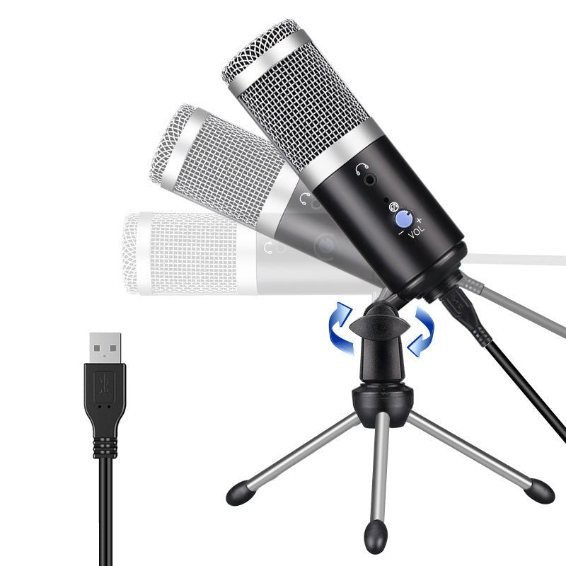 Computer Microphone